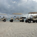 Golf Carts Indios