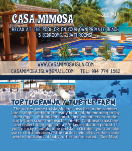 Vacation Rentals Isla Mujeres