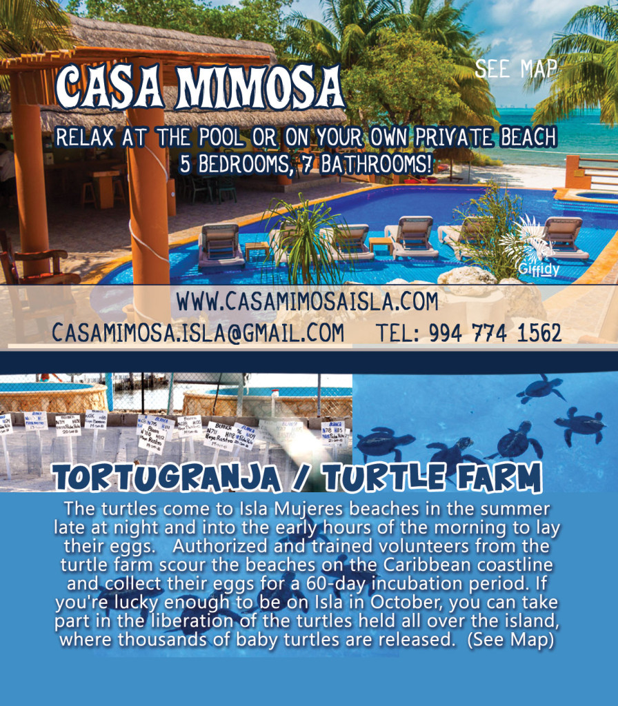 Vacation Rentals Isla Mujeres