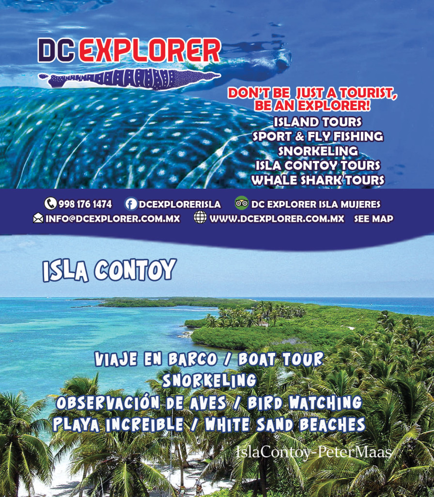 Whale Sharks Isla Mujeres