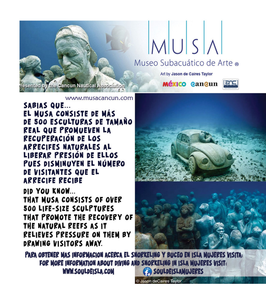 Isla Mujeres Scuba Diving