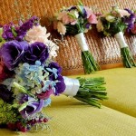 Playa Lancheros Weddings