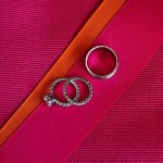 Playa Lancheros Weddings