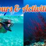 Tours and Activities