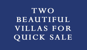 Isla Mujeres Real Estate