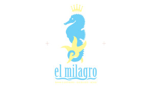 Isla Mujeres Hotels