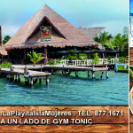 Bars & Restaurants Isla Mujeres