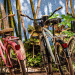 Things to do Isla Mujeres