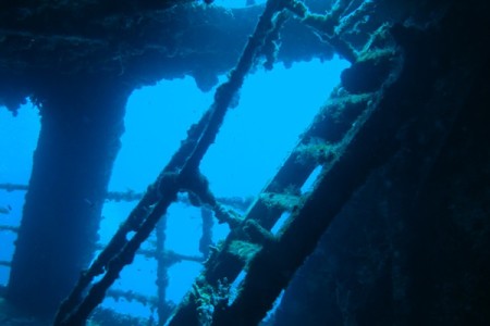 Diving Isla Mujeres